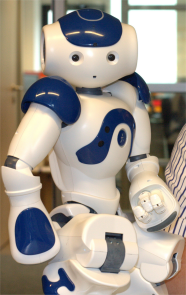 De NAO robot